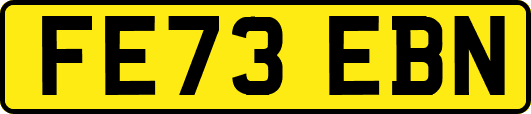 FE73EBN