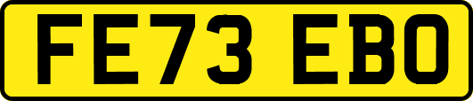 FE73EBO