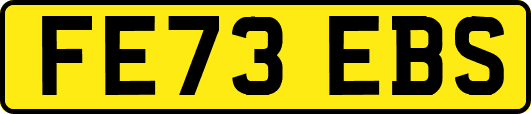 FE73EBS