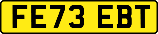 FE73EBT