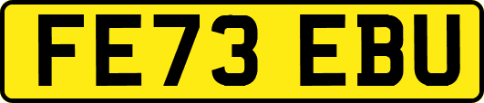 FE73EBU