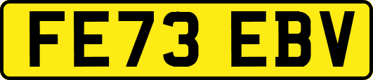 FE73EBV