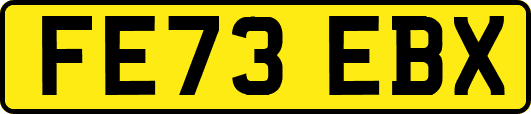 FE73EBX