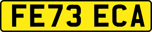 FE73ECA