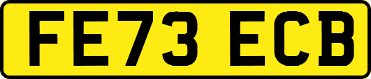 FE73ECB