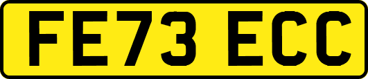 FE73ECC