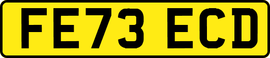 FE73ECD
