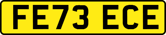 FE73ECE
