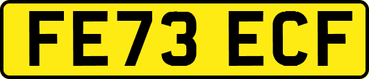 FE73ECF