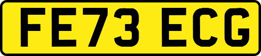FE73ECG