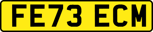 FE73ECM
