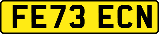 FE73ECN