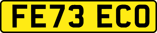 FE73ECO