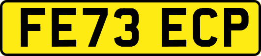 FE73ECP