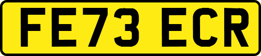 FE73ECR