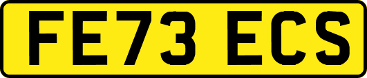 FE73ECS