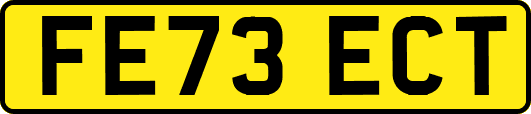 FE73ECT