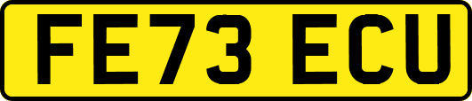 FE73ECU