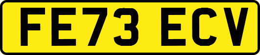 FE73ECV