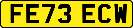 FE73ECW