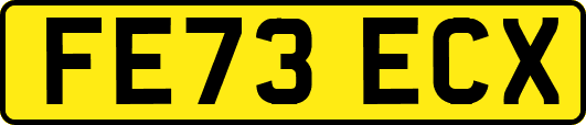 FE73ECX