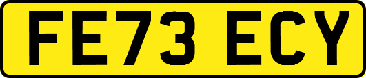 FE73ECY