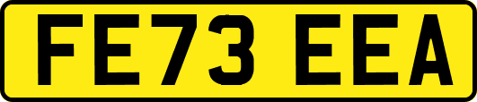 FE73EEA