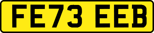 FE73EEB
