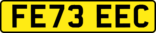 FE73EEC