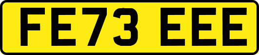 FE73EEE