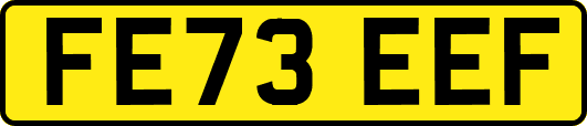 FE73EEF