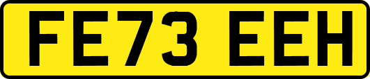 FE73EEH