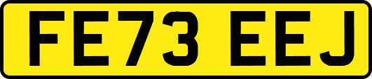 FE73EEJ