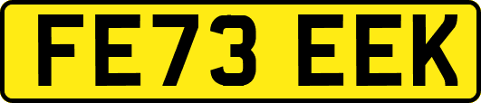 FE73EEK