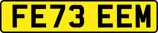 FE73EEM