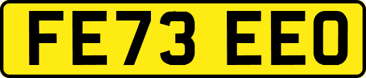 FE73EEO