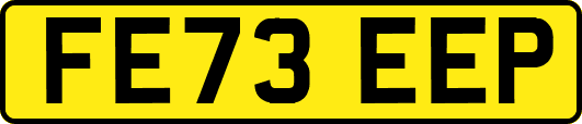 FE73EEP