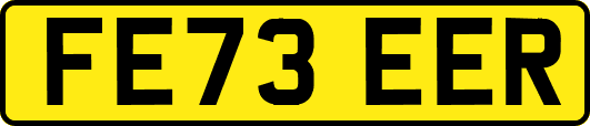 FE73EER