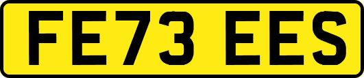 FE73EES