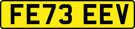 FE73EEV