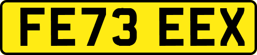 FE73EEX
