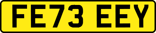 FE73EEY