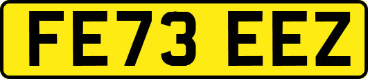 FE73EEZ