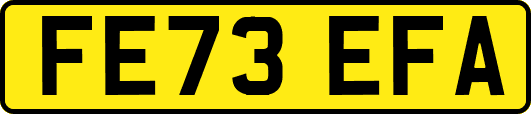 FE73EFA