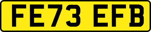 FE73EFB