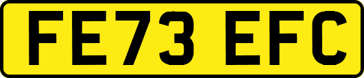 FE73EFC