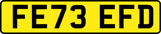 FE73EFD