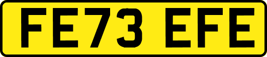 FE73EFE