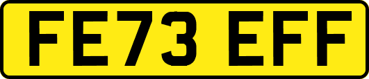 FE73EFF