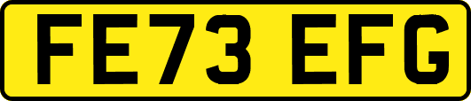 FE73EFG